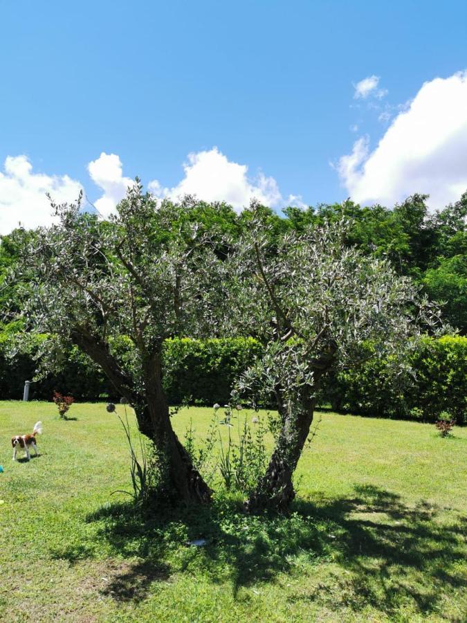 Villa Giulia Gragnola Esterno foto